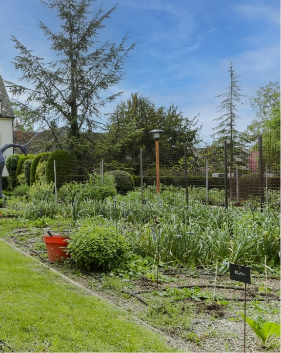 richebourg-jardin-vosne-romanee-bourgogne