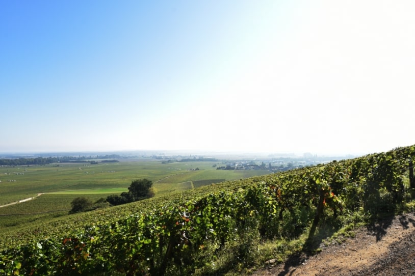 richebourg-hotel-bourgogne-dijon