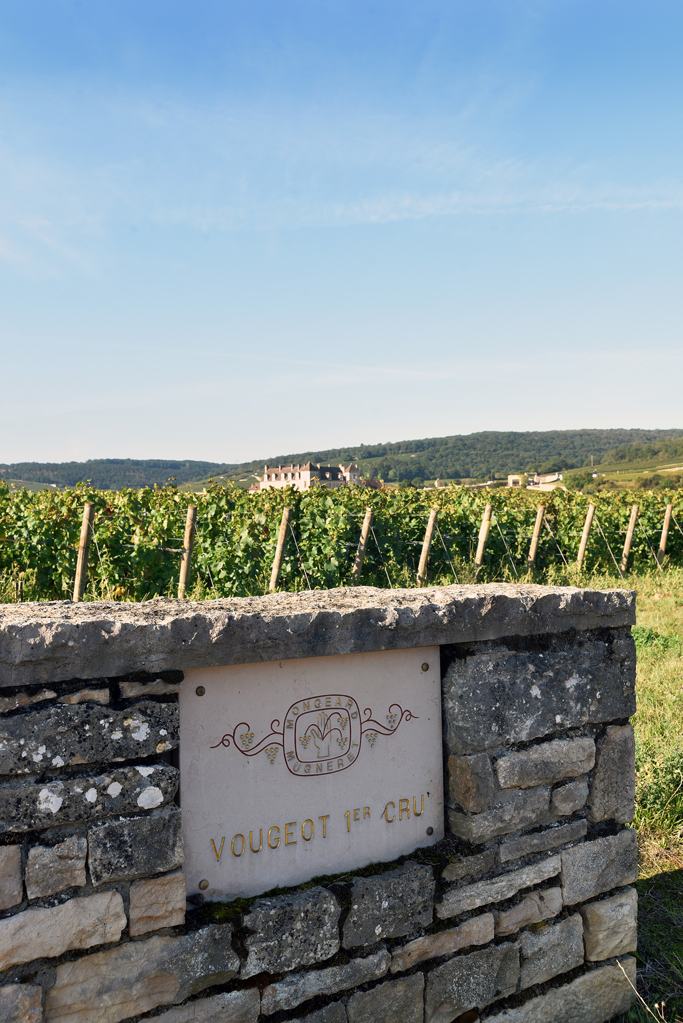 Actualite-oenotourisme