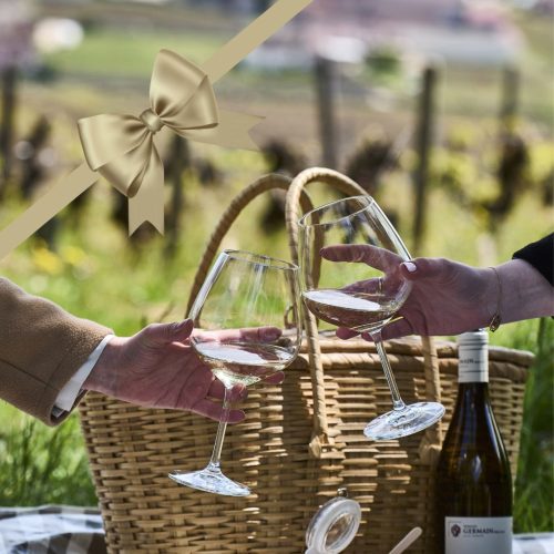 Wine Tour