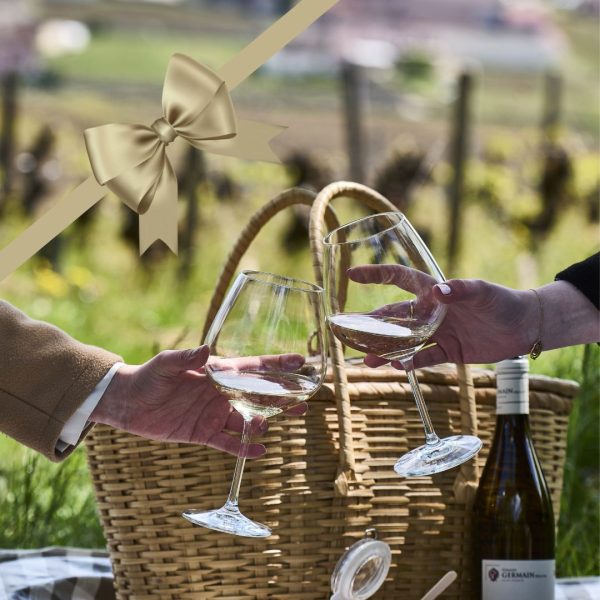 Wine Tour