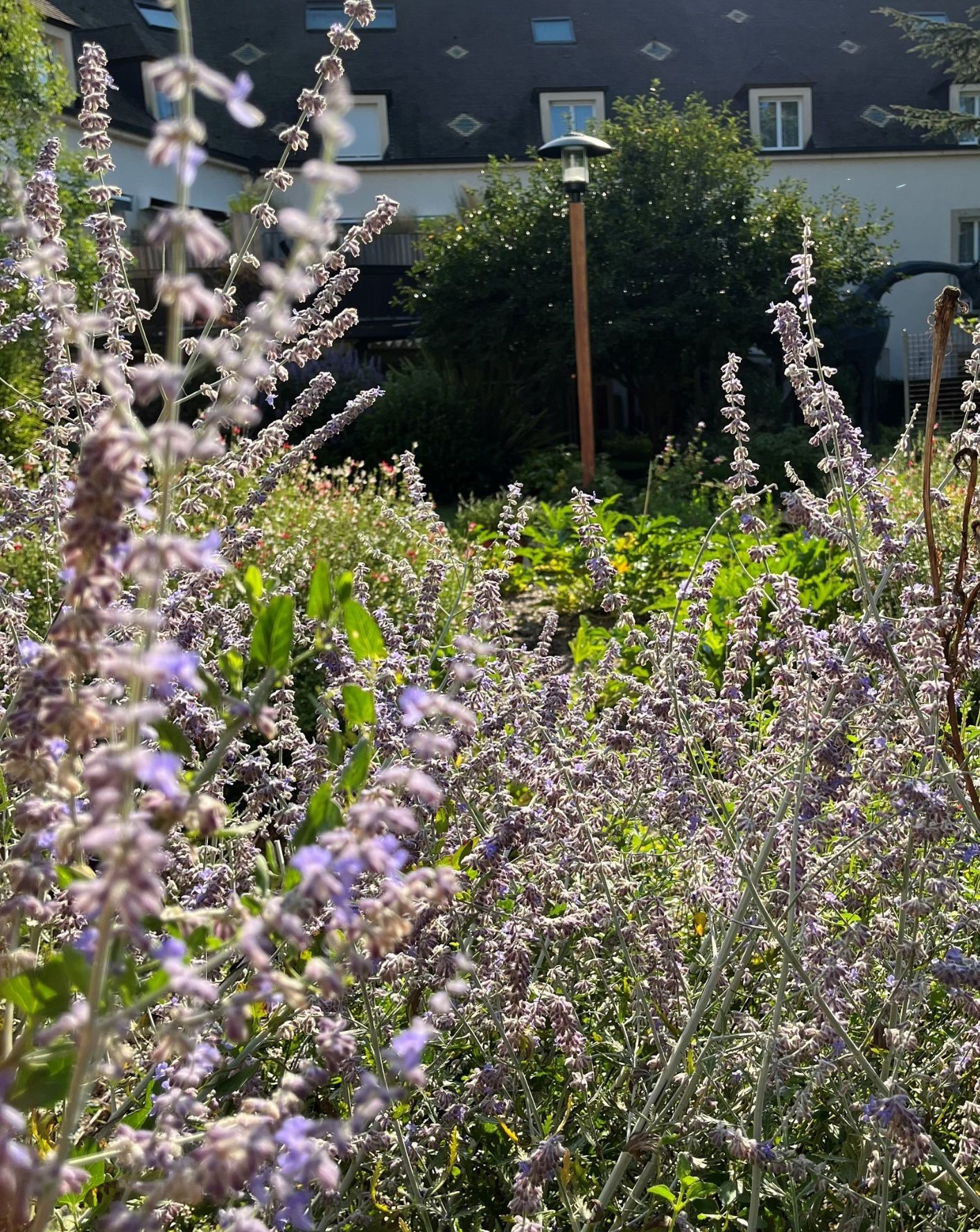 jardin-hotel