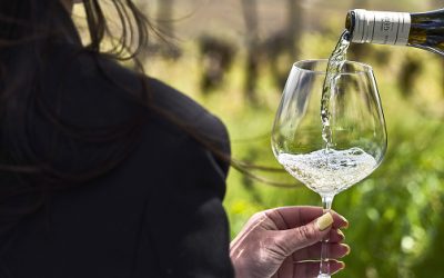 Sunset Wine Tour