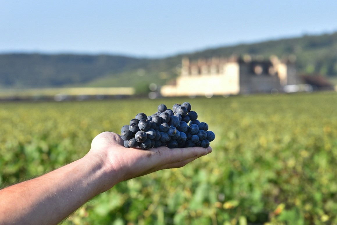 degustation-de-vins-le-richebourg
